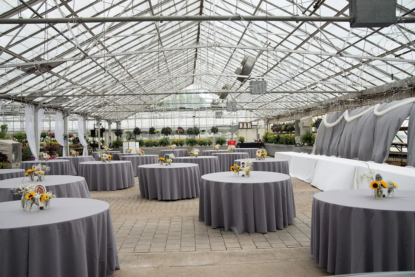 A well-arranged event space in a greenhouse, featuring round tables with gray cloths and floral centerpieces, and draped white fabric along the walls.