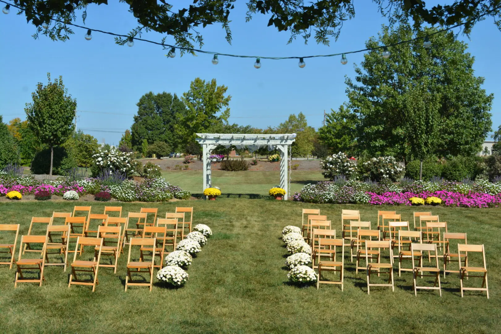 Outdoor wedding setup with rows of wooden chairs facing a white pergola, surrounded by colorful shrubs and strung lights above on a sunny day.