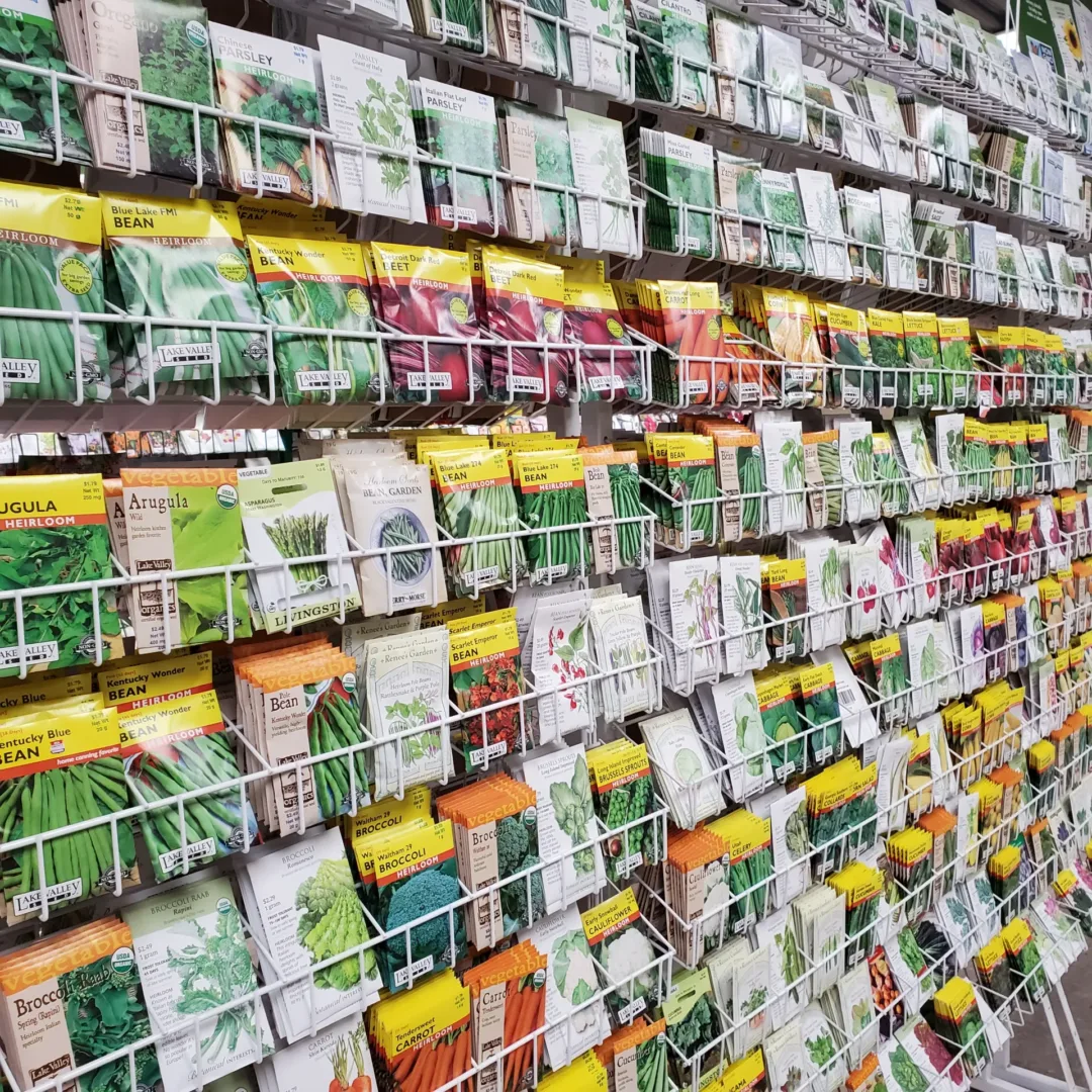 Wall-mounted display of various seed packets organized in rows at a store, featuring different types of vegetables, flowers, and trees.