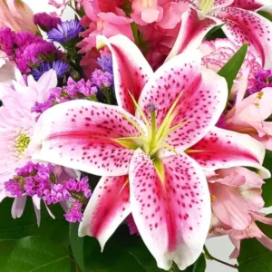 A vibrant bouquet featuring a prominent pink and white speckled lily, surrounded by pink and purple flowers and green leaves, crafted by a skilled florist.