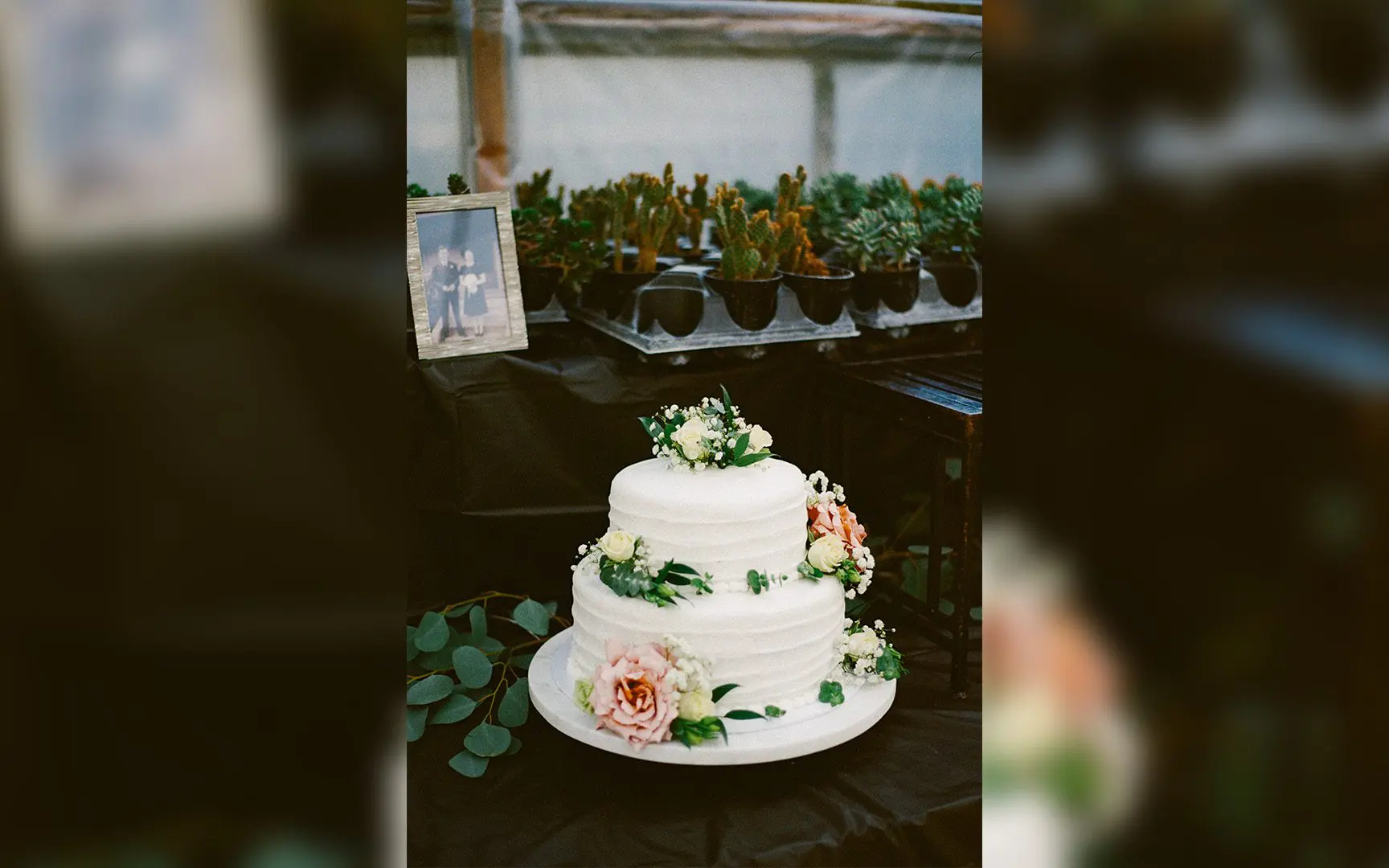 Three-tiered white wedding cake decorated with pink and white flowers, displayed on a table surrounded by flowering plants in a greenhouse.