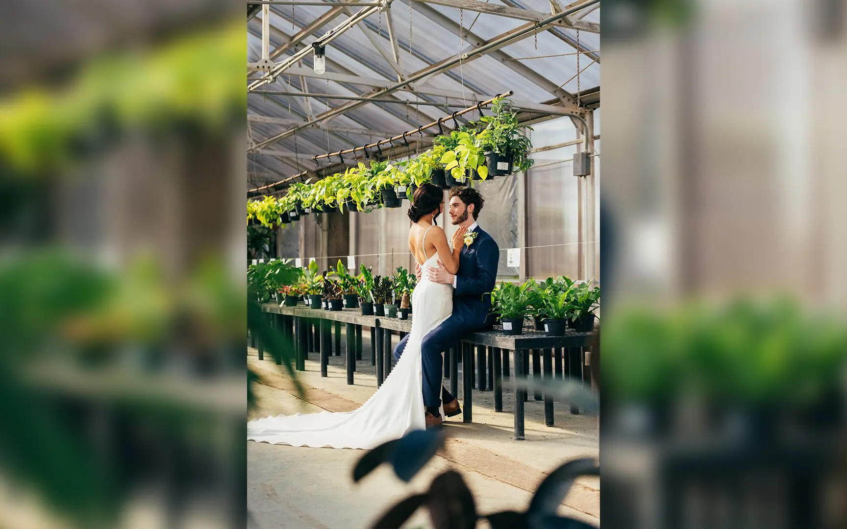 A bride and groom embracing in a sunlit greenhouse surrounded by hanging plants and rows of potted greenery.