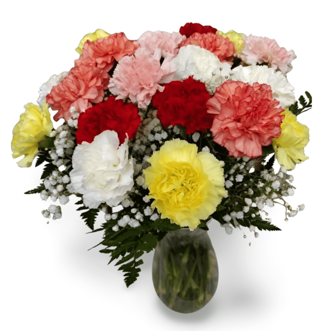 Colorful carnation bouquet in vase.