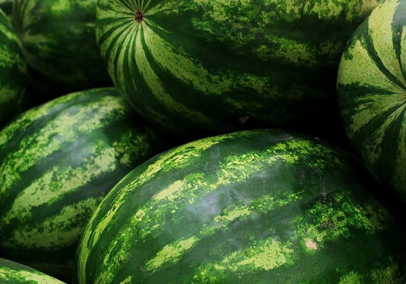 Close-up of several whole watermelons with green striped rinds, displayed at a market.